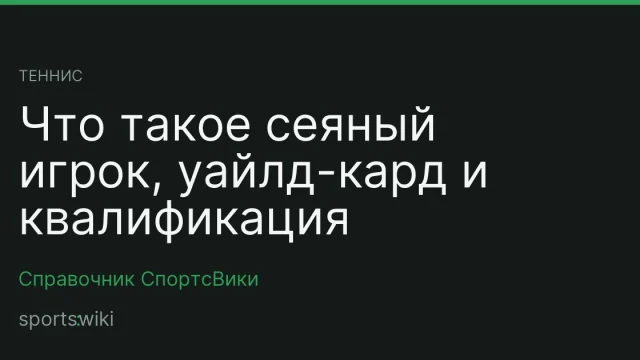 Теннис. Что такое сеяный игрок, уайлд-кард и квалификация