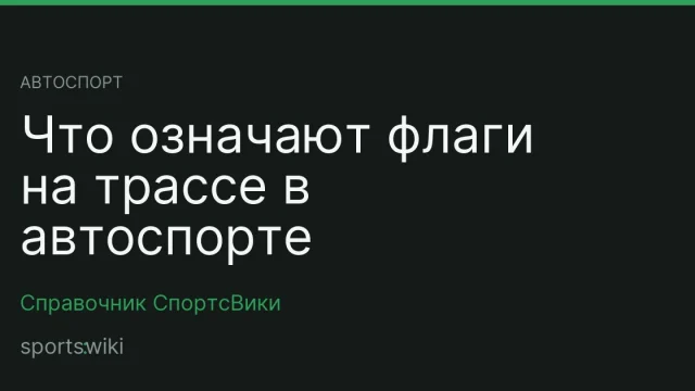Автоспорт. Что означают флаги на трассе в автоспорте