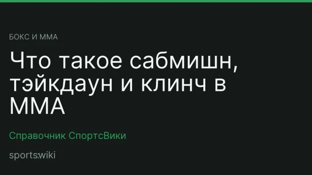 Бокс и ММА. Что такое сабмишн, тэйкдаун и клинч в ММА