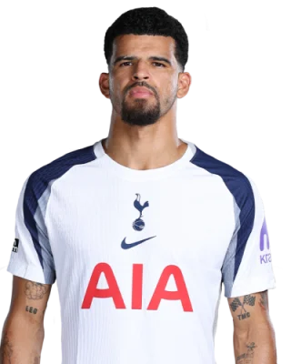 Dominic Solanke — логотип