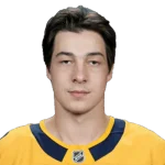 Aiden Fink