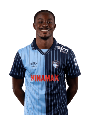 Felix Mambimbi — логотип