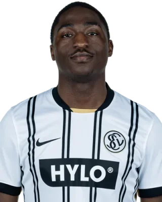 David Ngabi Mokwa Ntusu — логотип