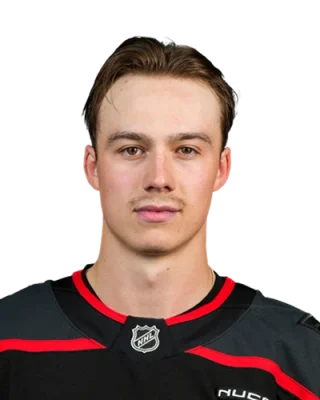 Bradly Nadeau — логотип