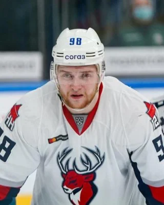 Danil Veryayev — логотип
