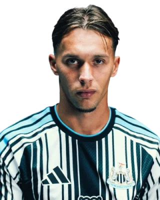 Amar Dedić — логотип