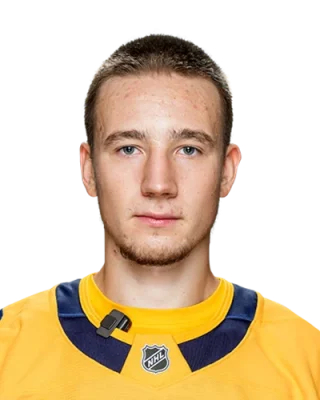Fyodor Svechkov — логотип