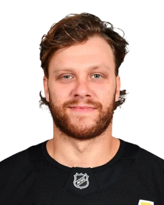 David Pastrnak — логотип