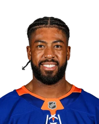 Anthony Duclair — логотип
