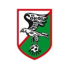 Sokół Kleczew