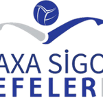 Efeler Ligi