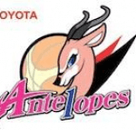 Toyota Antelopes Women