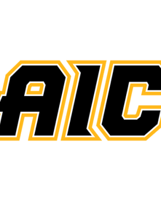 American International Yellow Jackets