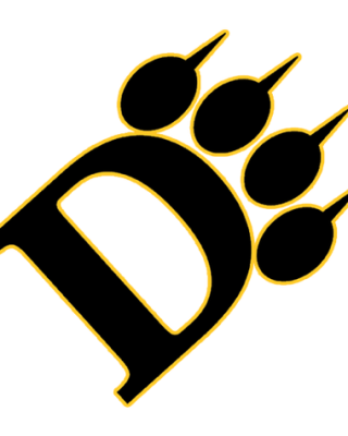 Ohio Dominican Panthers