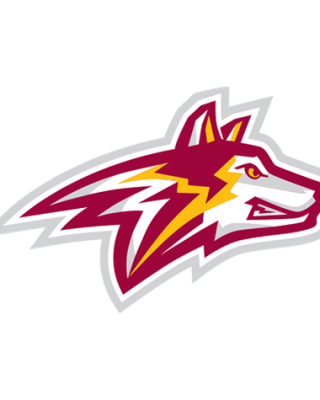 Alvernia Golden Wolves