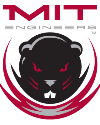 MIT Engineers
