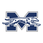 Moravian Greyhounds