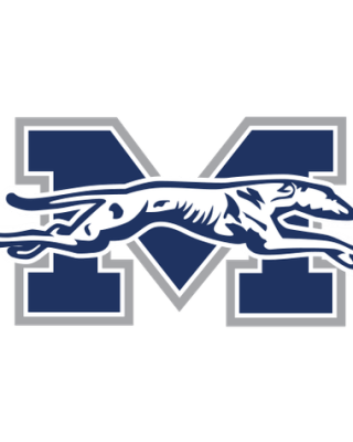 Moravian Greyhounds