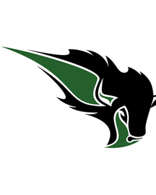 Oklahoma Baptist Bison