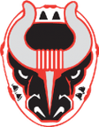 Birmingham Bulls