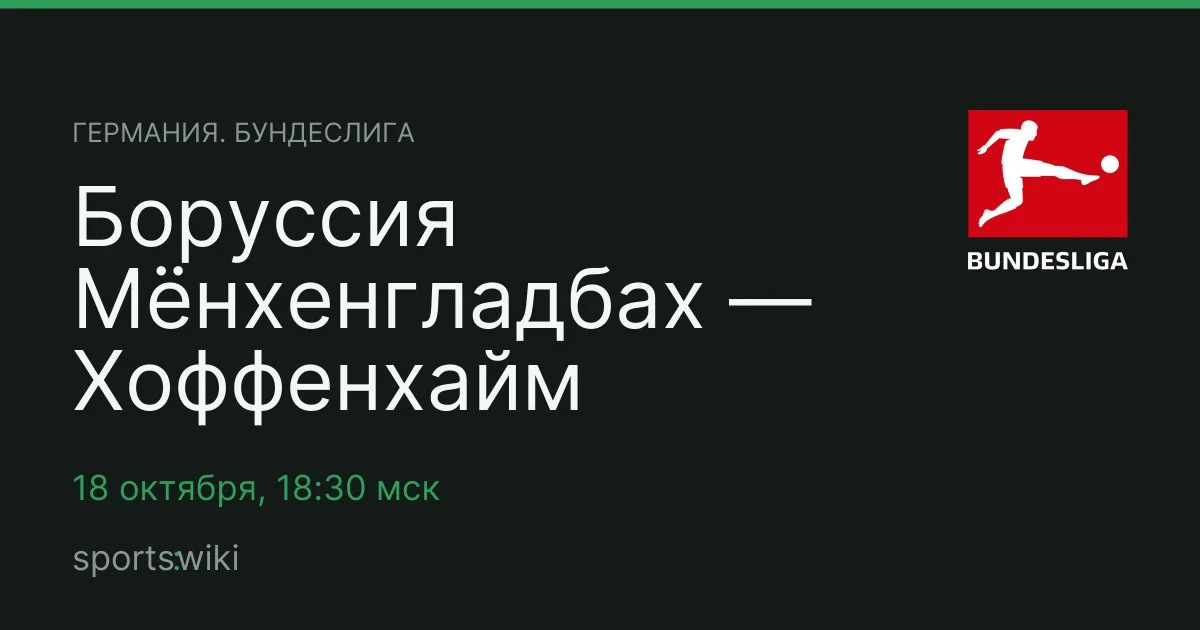 Германия. Бундеслига. Боруссия Мёнхенгладбах — Хоффенхайм