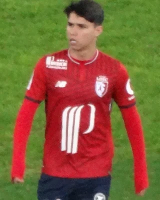 Луис Араужо